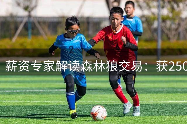薪资专家解读森林狼交易：获250万特例并补强板凳